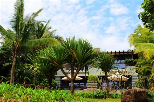 teatogether茶濡以沫