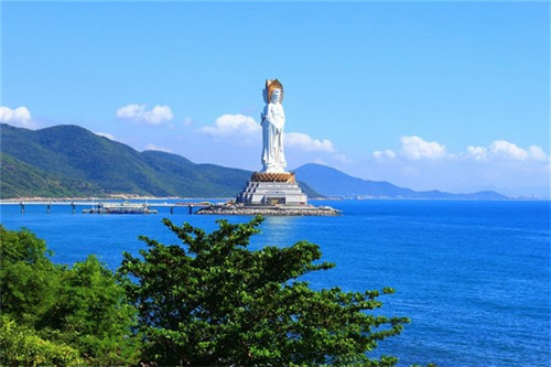 控油洗发水品牌排名