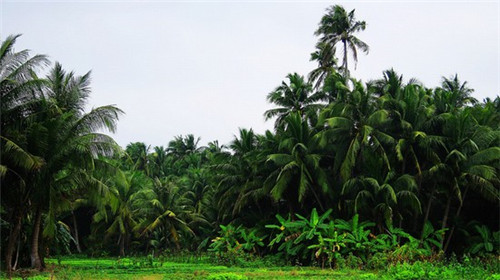 创业文具店经历了什么过程，创业文具店经历了什么过程呢