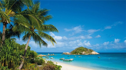 青河县开店创业不锈钢锅什么品牌性价比高