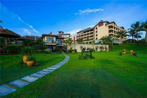 d12是什么意思（d1d2d3是什么意思）