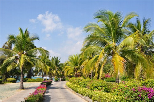 广州日本大使馆指定送签旅行社（广州日本大使馆送签旅行社名单公示）