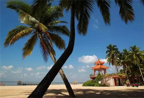 奥特曼的十大优点是什么（奥特曼的卖点）