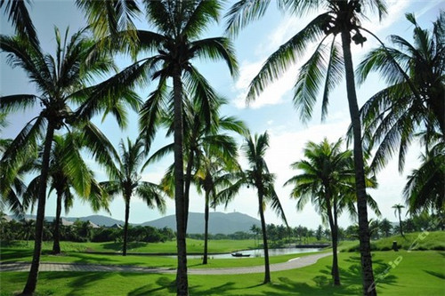 60炼金配方大全(超详细)（661炼金配方）