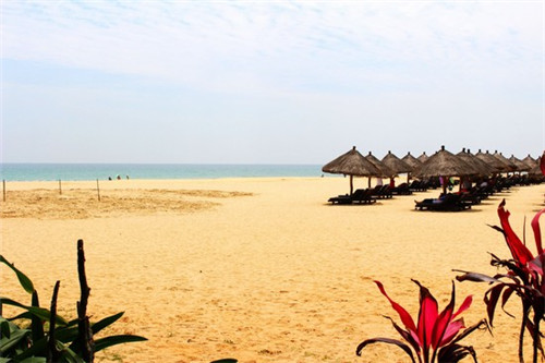 狗起名叫狗什么好听点女生（狗起名叫狗什么好听点女生名字）