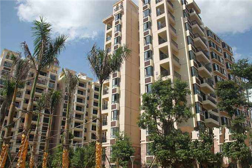 抖音网英明是mb吗（网民抖音）