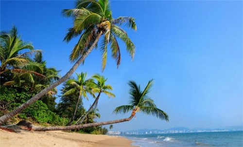 青取之于蓝而青于蓝主要说明（青取之于蓝而青于蓝论证了什么）